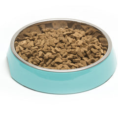 Teal cat feeder.  1.75 cup capacity.  Ideal for dry or even raw cat food.  
