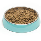 Teal cat feeder.  1.75 cup capacity.  Ideal for dry or even raw cat food.  