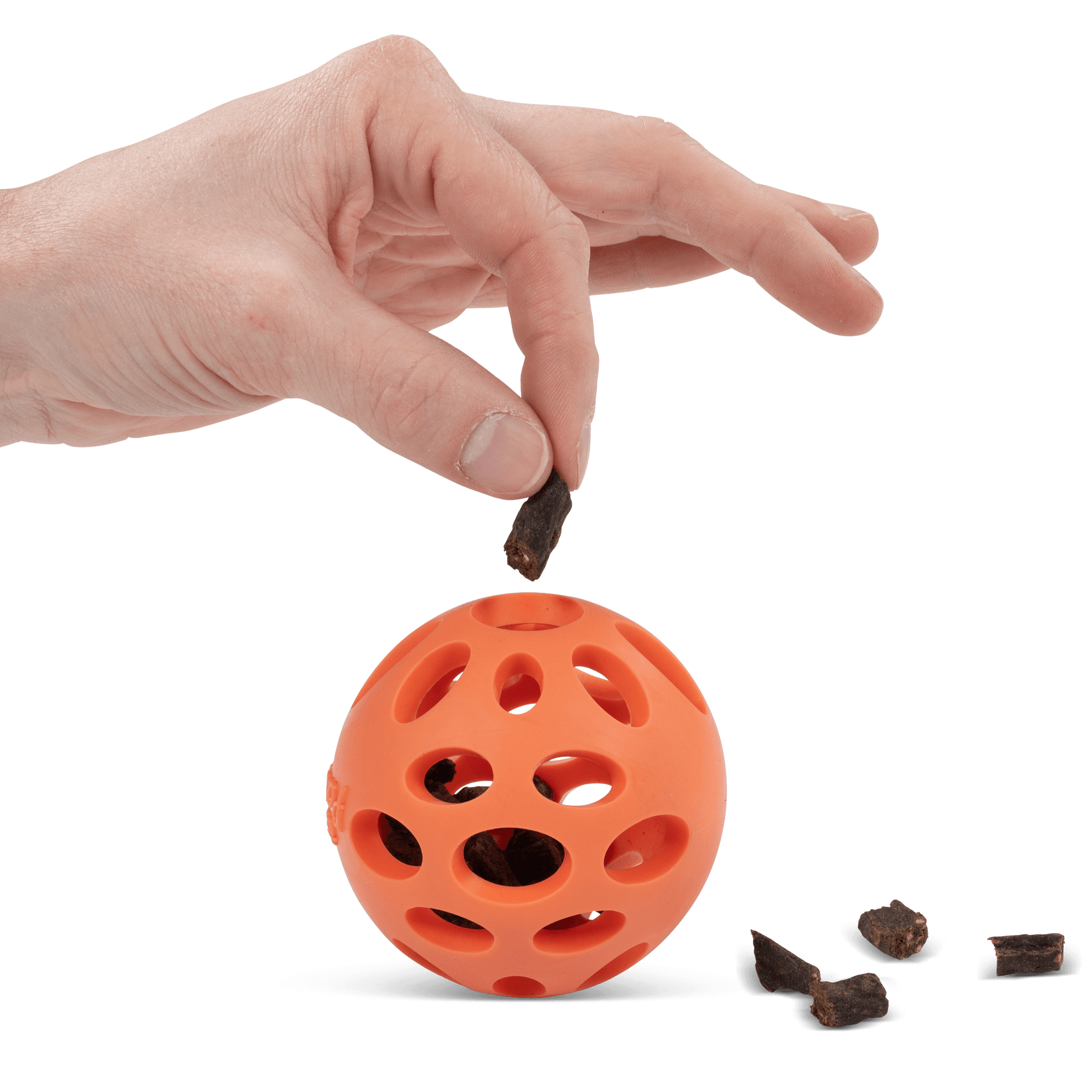 Dog toy hot sale ball with holes