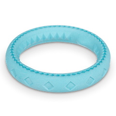 Durable teal ring dog toy.  Great for playing tug. 