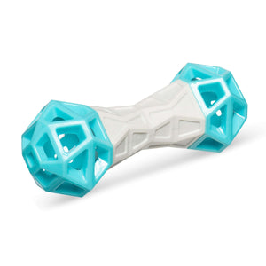 Green and teal barbell like dog toys.  Durable materials with built in squeakers for engaging play. 