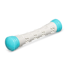 Teal dog toy.  Play fetch and engage your pet.  It floats and squeaks.